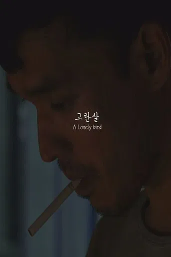 A Lonely bird poster