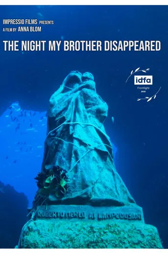 The Night My Brother Disappeared poster