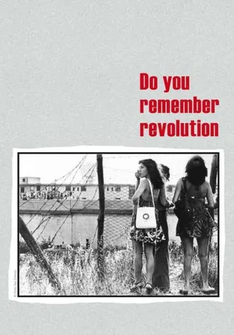 Do You Remember Revolution? poster