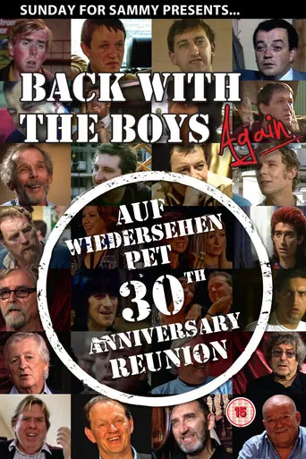 Back with the Boys Again poster