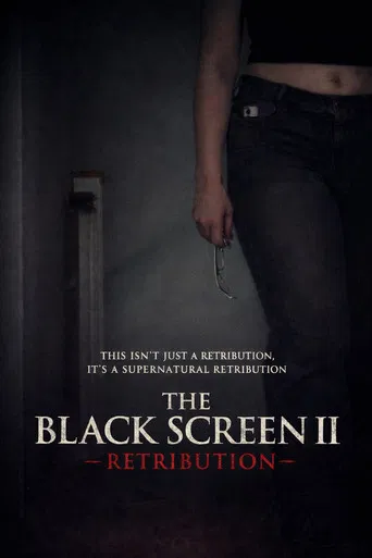 The Black Screen II - Retribution poster