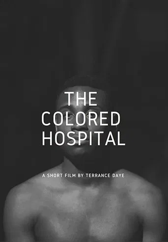 The Colored Hospital: A Visual Poem poster