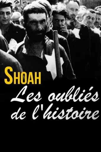 Shoah, les oubliés de l'histoire poster