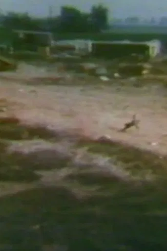 Audio and Visual Experiment 6 poster