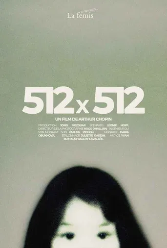 512X512 poster