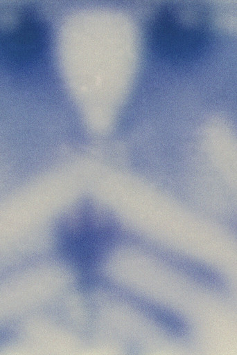 untitled (camera roll) poster