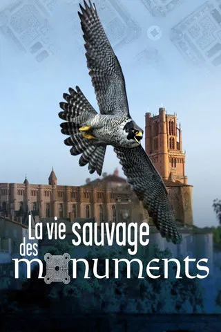 La Vie sauvage des monuments poster