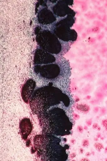 Banquet of Love poster