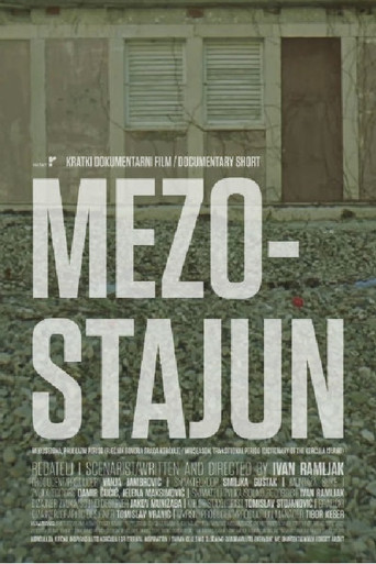 Mezostajun poster