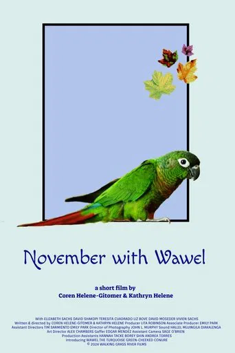 November with Wawel poster
