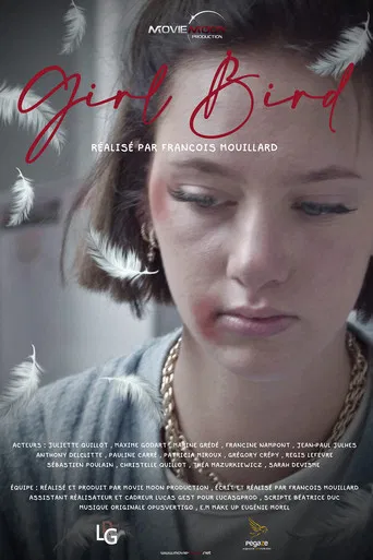 Girl Bird poster