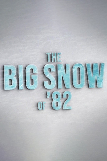 The Big Snow of '82 poster
