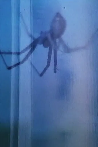 Flora & Fauna poster