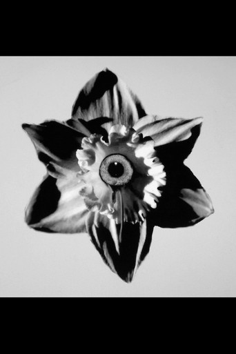 Das ist das Leben poster