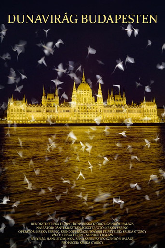 Dunavirág Budapesten poster