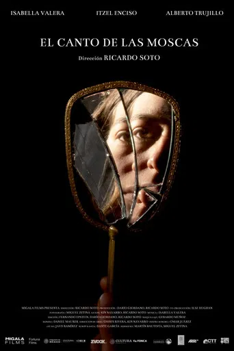 The singing of the flies poster