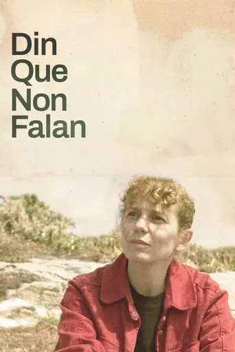 Din que non falan poster