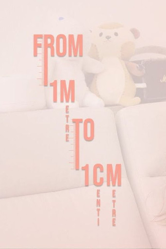 From 1 metre to 1 centimetre poster
