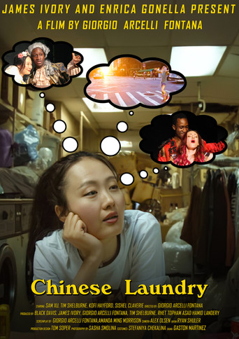 Chinese Laundry poster