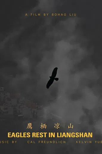 Eagles Rest in Liangshan poster