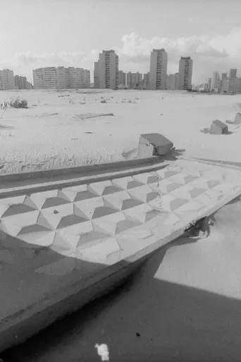 Daoist Looking Back poster