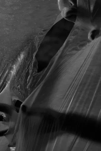 J'ai vomi mes larmes poster