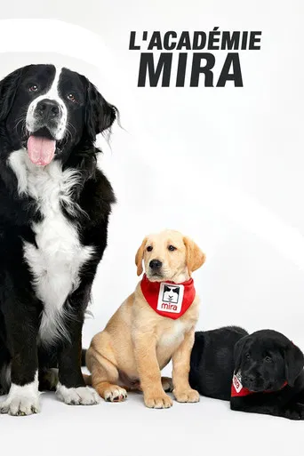 L'académie Mira poster