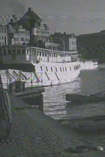 The Venice of the North poster