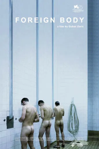 Foreign Body poster