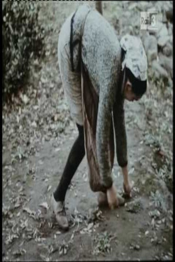 Tempo di raccolta poster