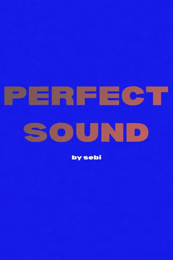 Perfect Sound poster