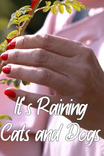 It's Raining Cats and Dogs poster