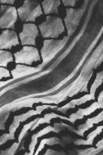 The City and Her Stones poster