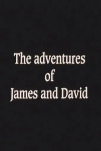 The Adventures of James and David poster