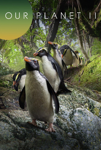 Our Planet II poster