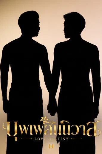 Love Destiny poster