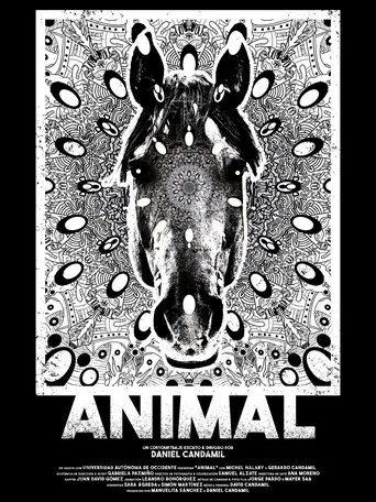 Animal poster