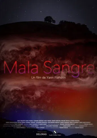Mala Sangre poster
