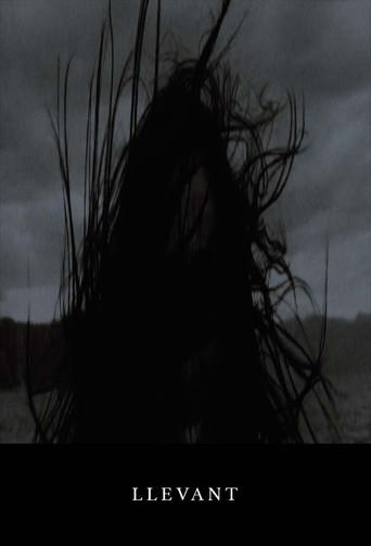 Llevant poster