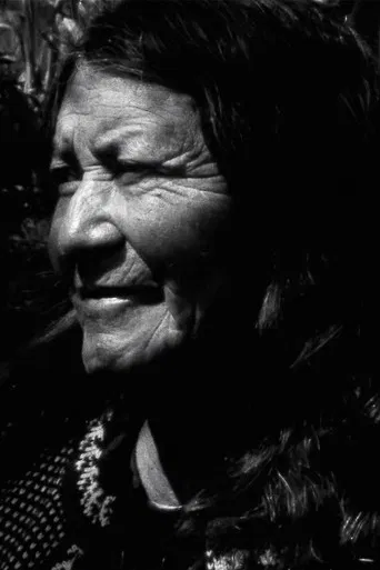 Manu: A Visual Album poster