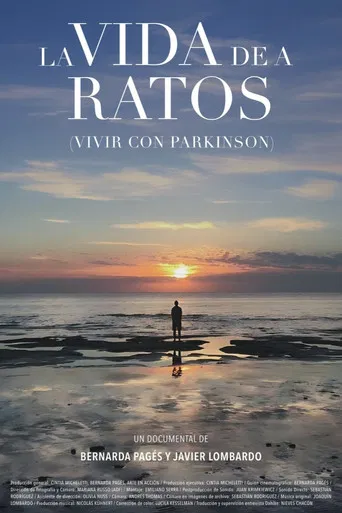 La vida de a ratos poster