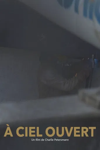 À ciel ouvert poster