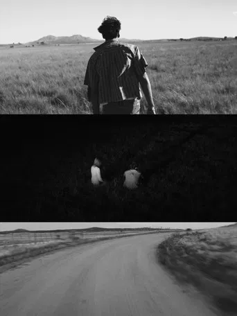 Bye Bye Joyous poster