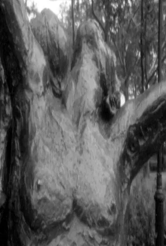 Fuzzy Forests and Looking Across the Stream poster