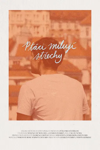 Of Birds and Roofs poster