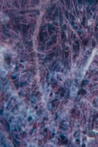 Ecosystem 7 ~ A sedimentary Heat poster