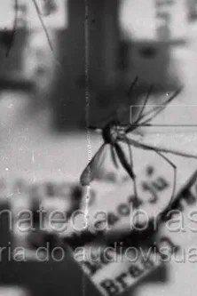 Febre Amarela II poster