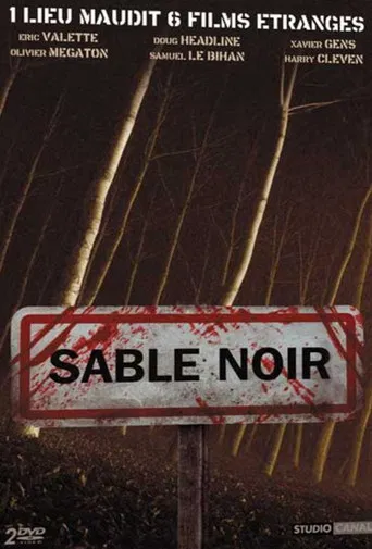 Sable noir poster