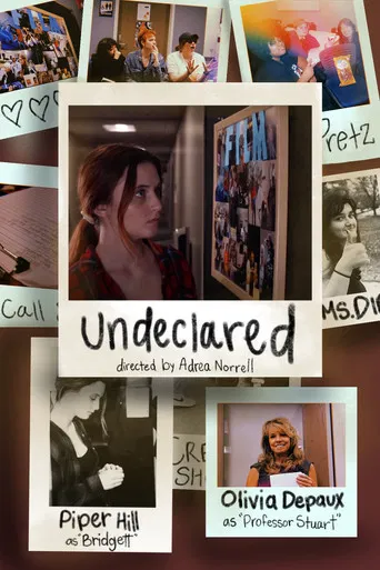Undeclared poster