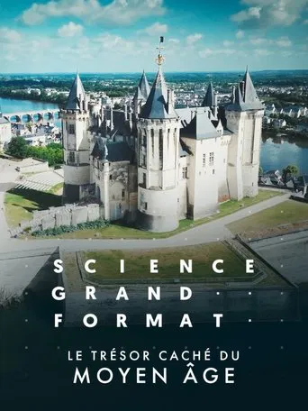Le trésor caché du Moyen Age poster
